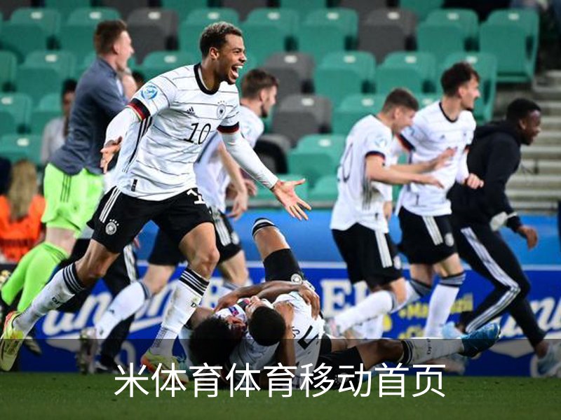 米体育体育移动首页概况
